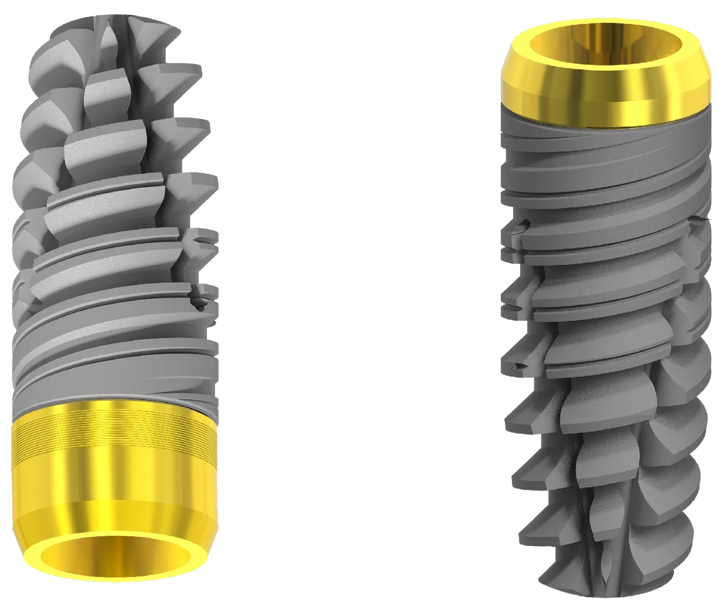 Newton struttura anatomica
