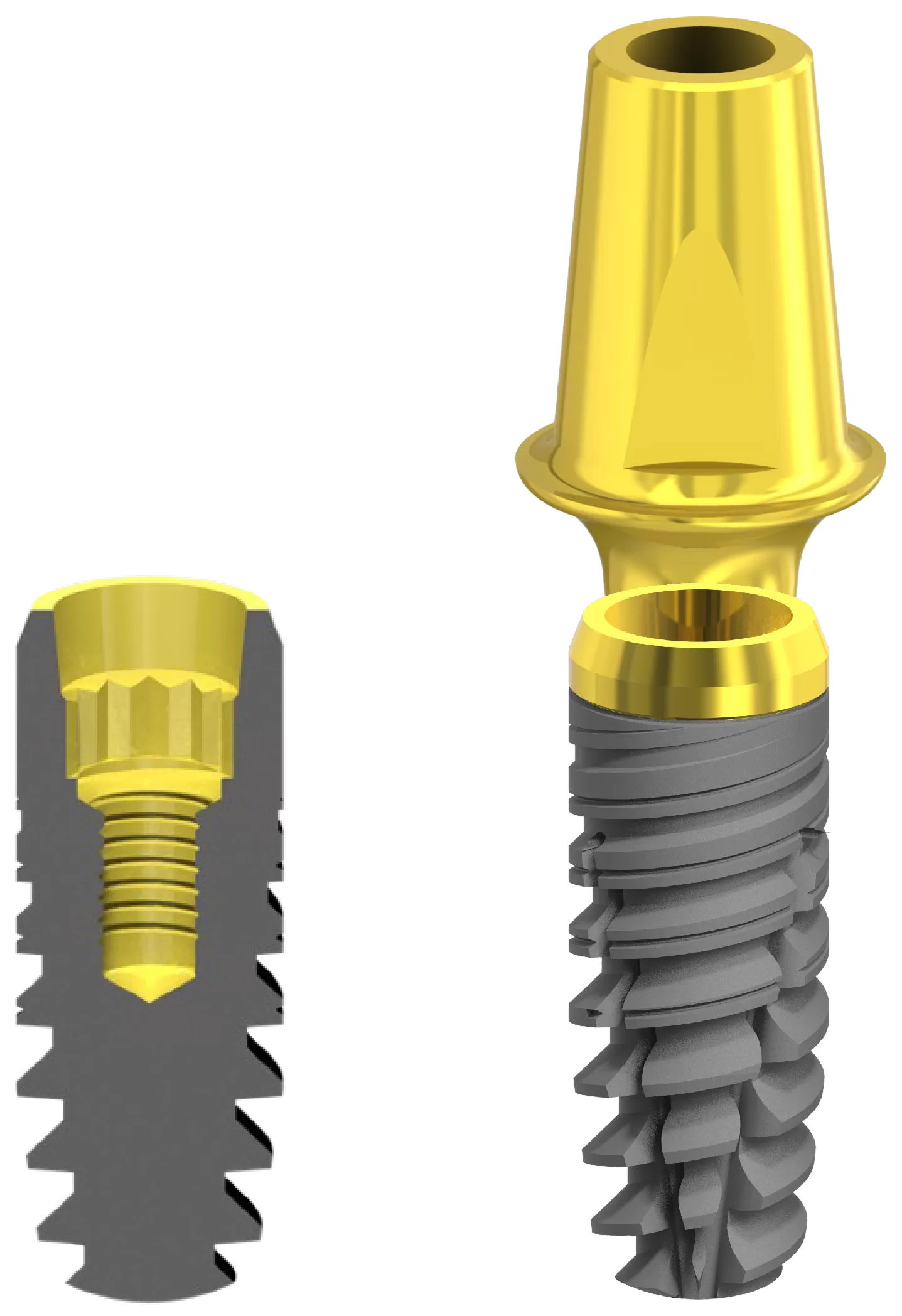 Newton connessione dell'impianto