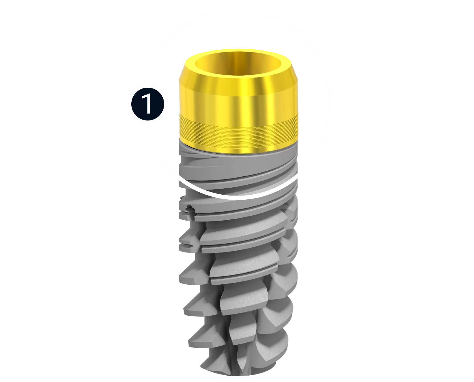 NewTon &egrave; un sistema implantare brevettato
