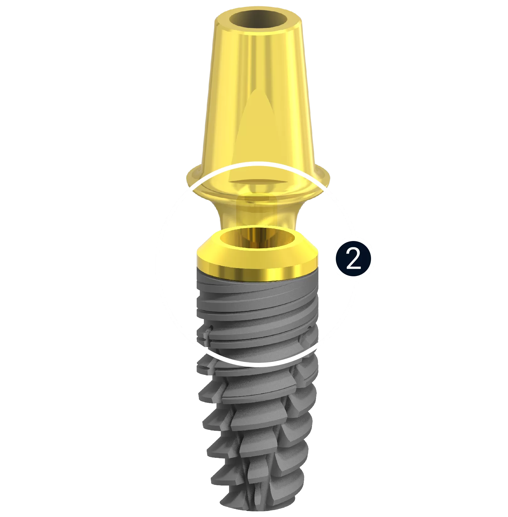 Newton è un sistema implantare brevettato