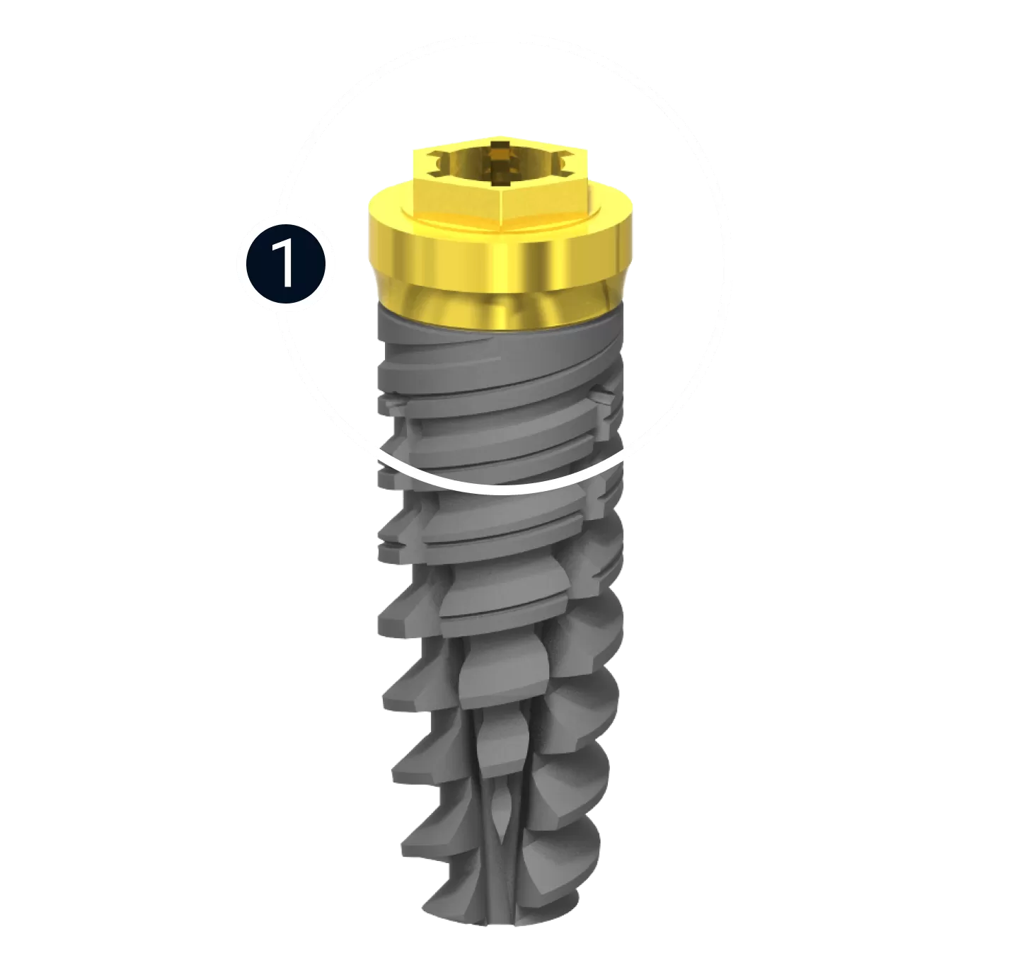 Newton x meccanica di inserimento
