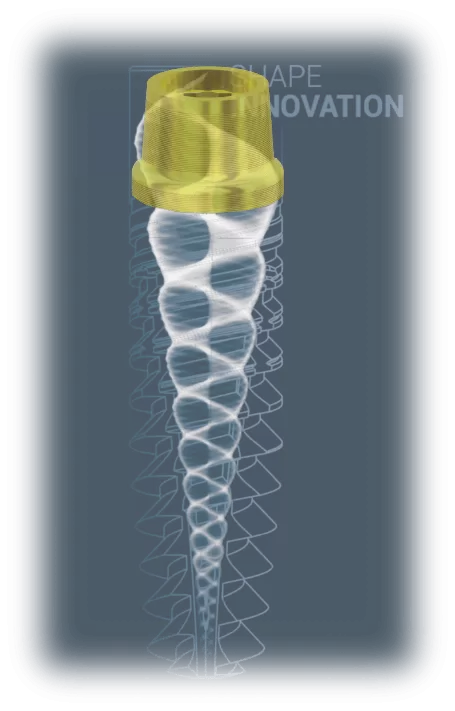 Newton struttura anatomica